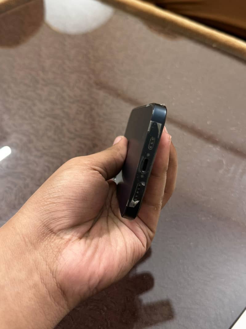 Apple iPhone 13 0