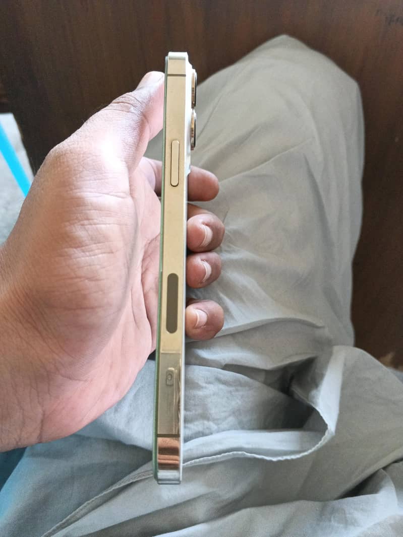 Apple iPhone 13 Pro Max 3