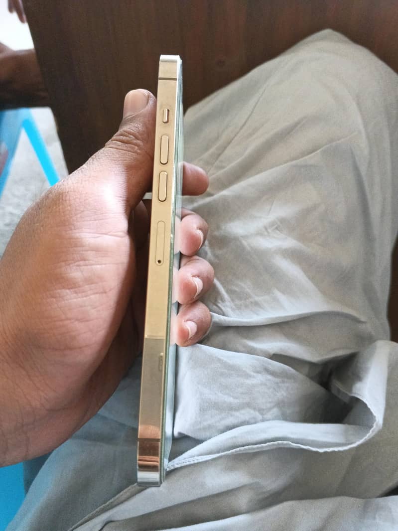 Apple iPhone 13 Pro Max 4