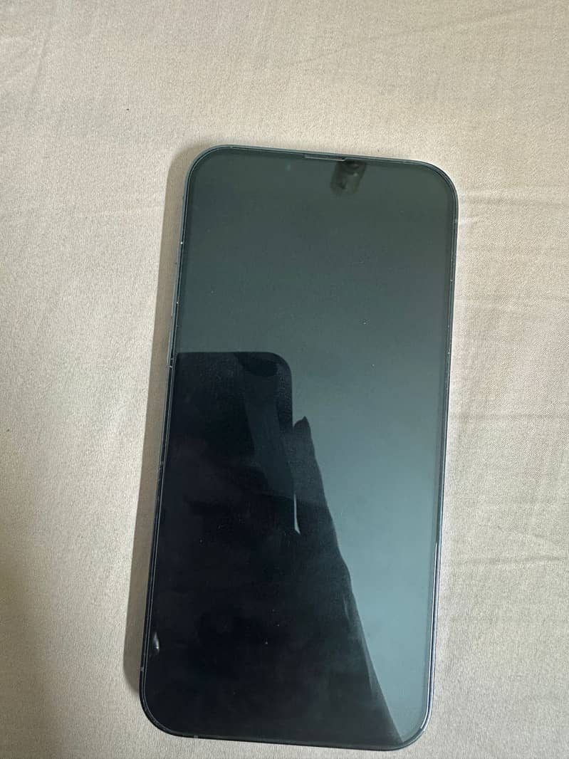 Apple iPhone 13 Pro Max 1