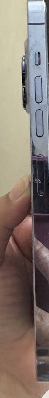 Apple iPhone 13 Pro Max 2
