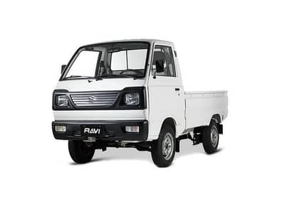 Need a Driver must have LTV licence