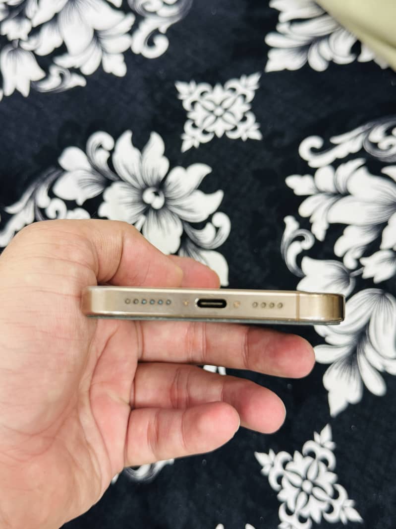 Apple iPhone 16 Pro Max 1