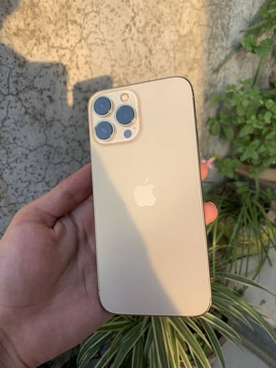 Apple iPhone 13 Pro Max
