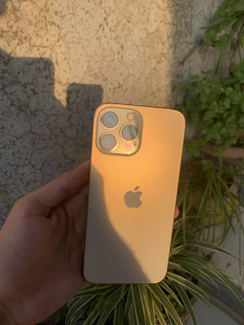 Apple iPhone 13 Pro Max 1