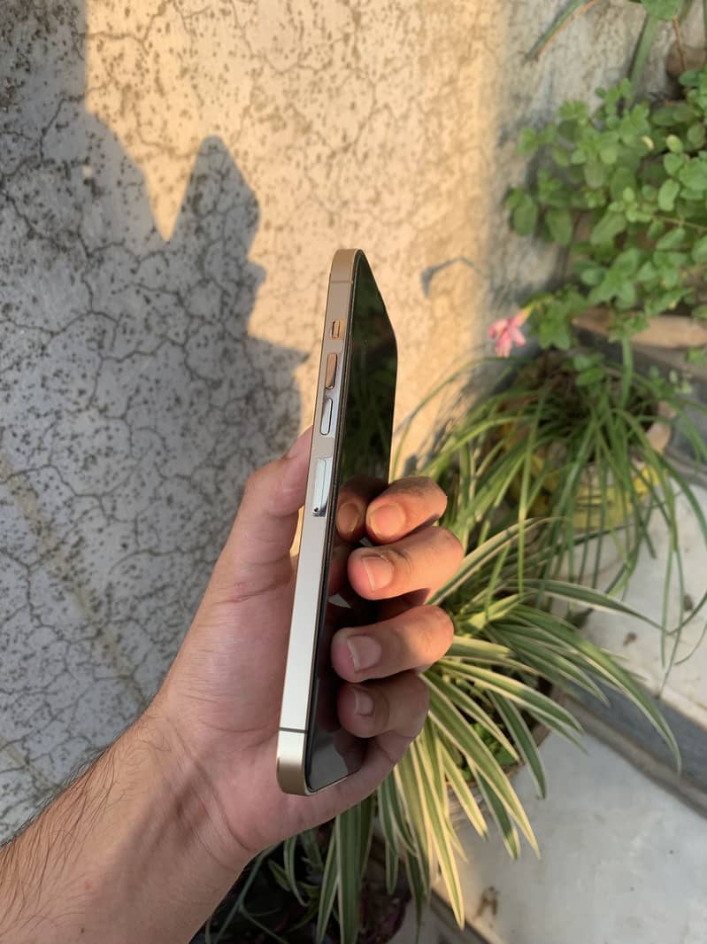 Apple iPhone 13 Pro Max 2