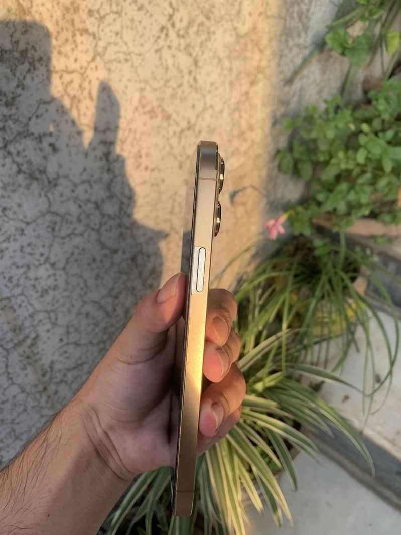 Apple iPhone 13 Pro Max 4