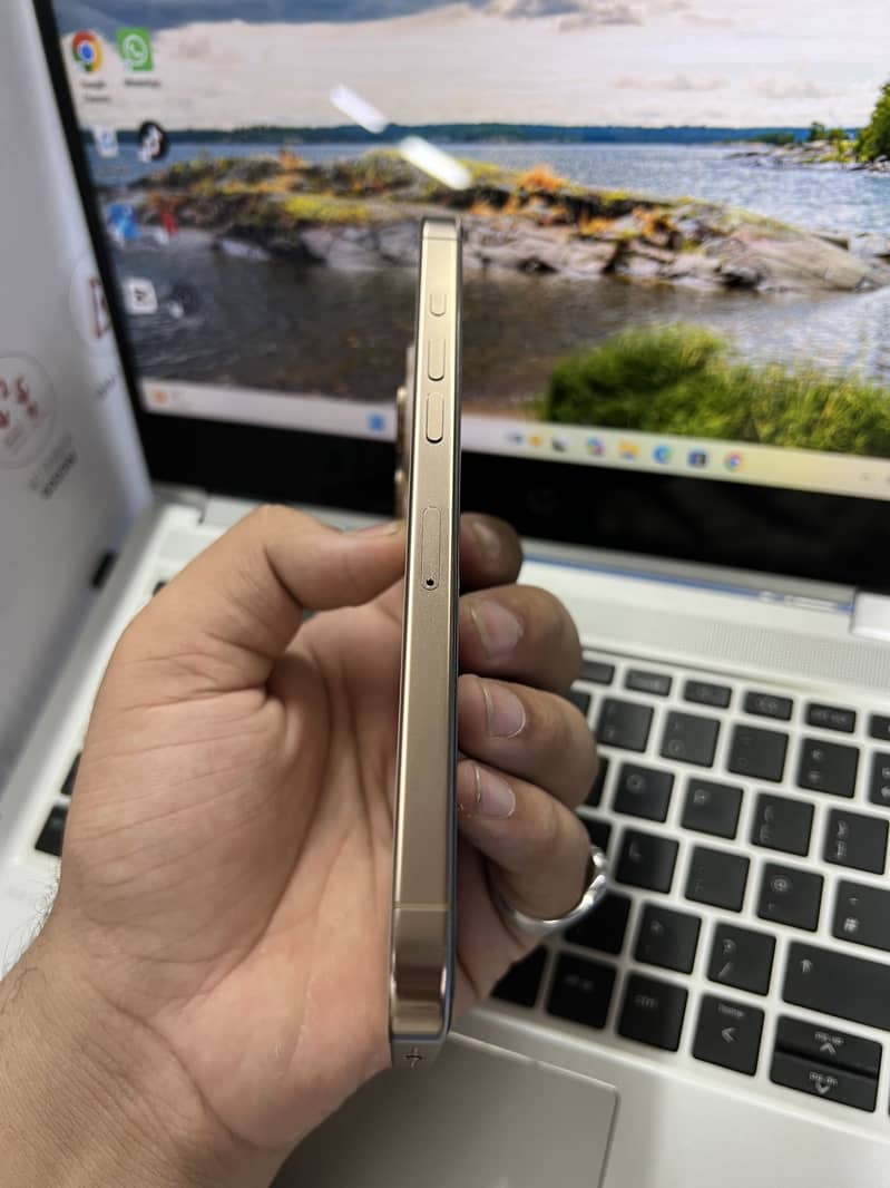 Apple iPhone 16 Pro Max 2
