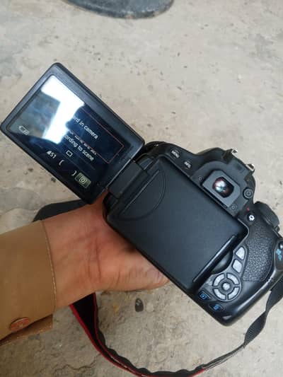 D700 with Big Lens 55.250mm