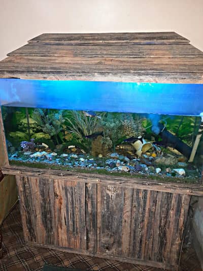 fish aquarium 4 feet with stand