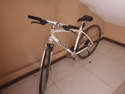 giant bicycle for sale