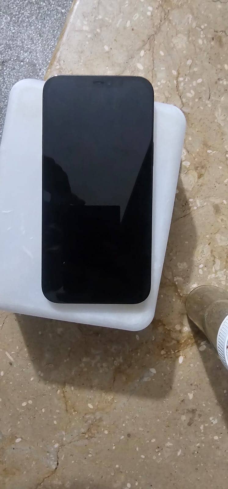 Apple iPhone 12 Pro Max 1