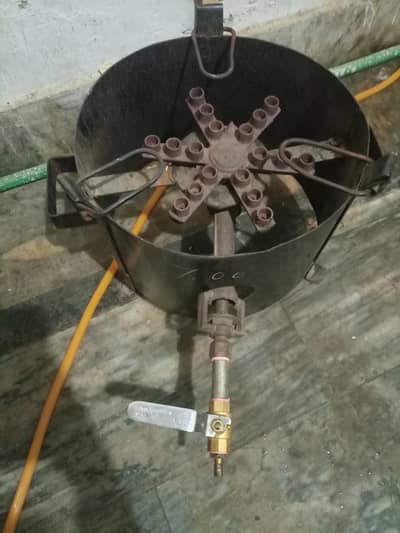 Burner Cholla