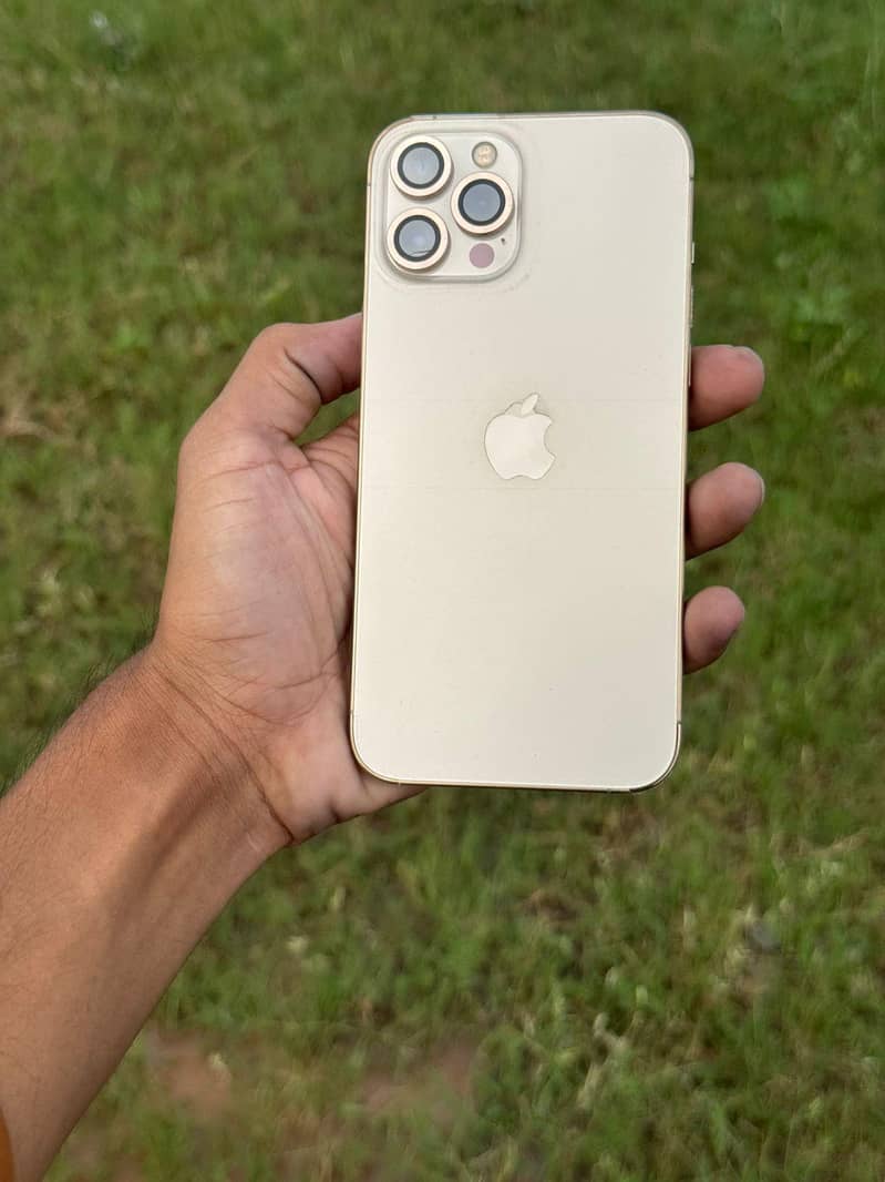 Apple iPhone 12 Pro Max 1