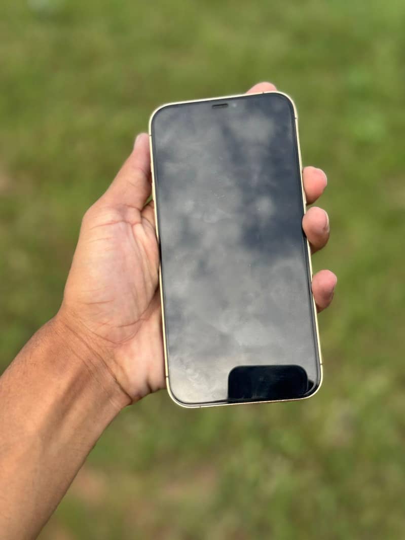 Apple iPhone 12 Pro Max 2
