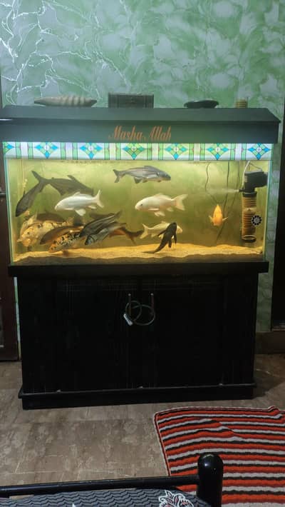 Aquarium
