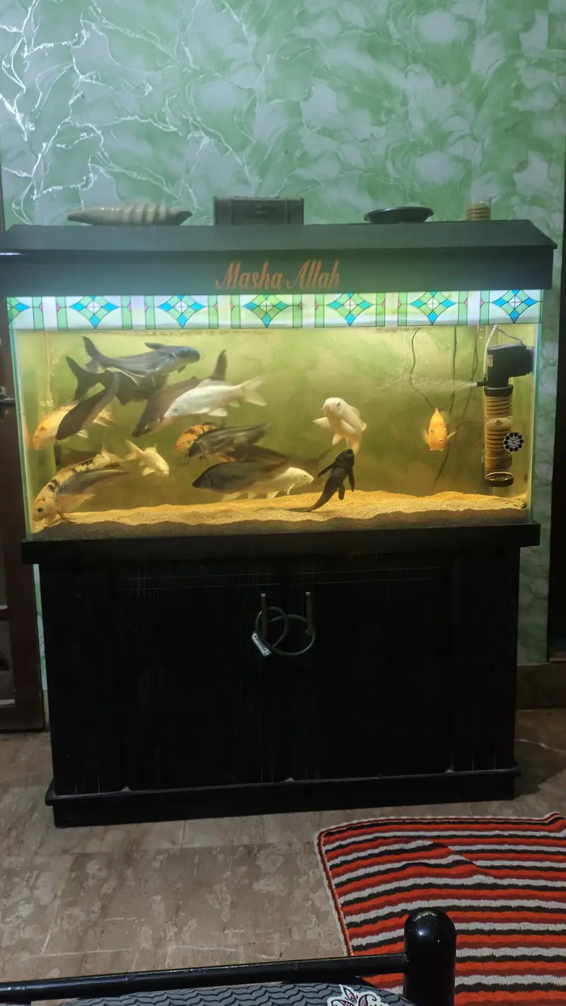 Aquarium — photo 2