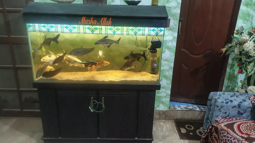 Aquarium — photo 9