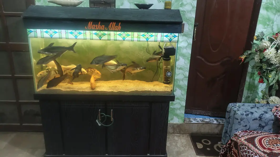 Aquarium — photo 10