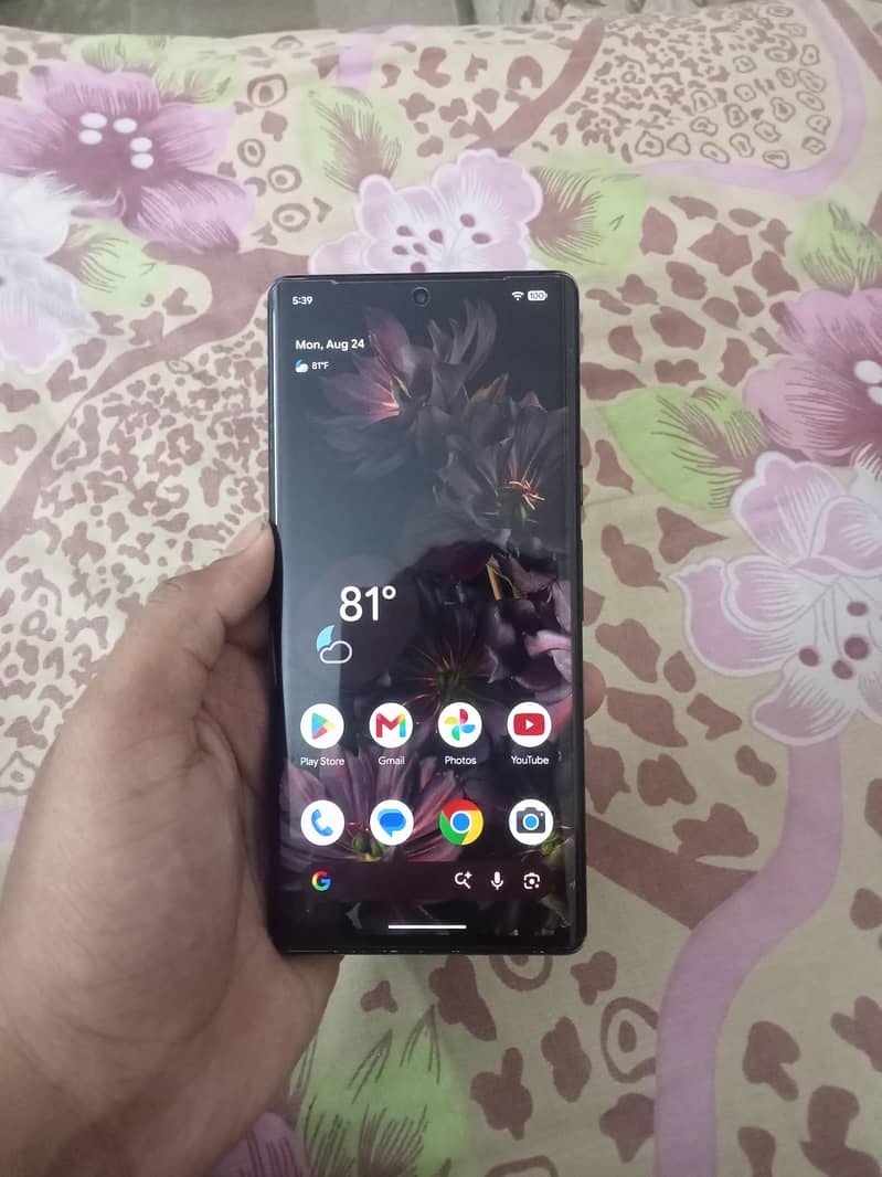 Google Pixel 6 Pro 1