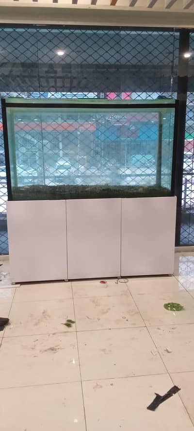 Fish aquarium