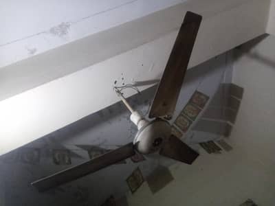 Lahore fans Celling fan