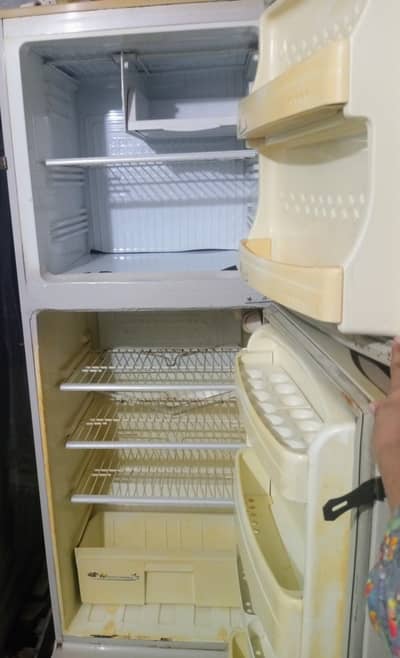 pel refrigerator