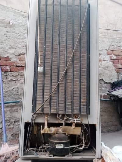 Dawlance 1 Door Freezer – Used, Excellent Condition