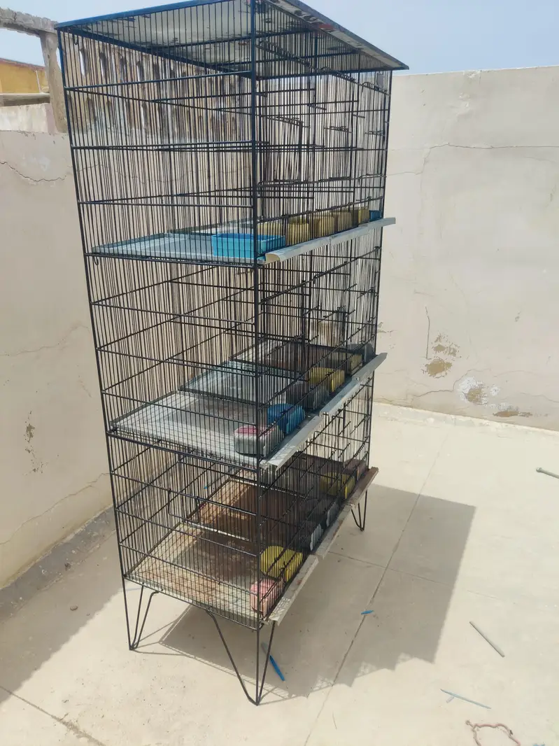 9 Khany Bird Cage | 10/10 Condition | New Plates — photo 2