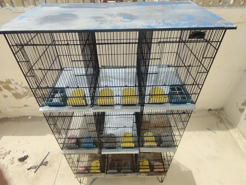 9 Khany Bird Cage | 10/10 Condition | New Plates — photo 3