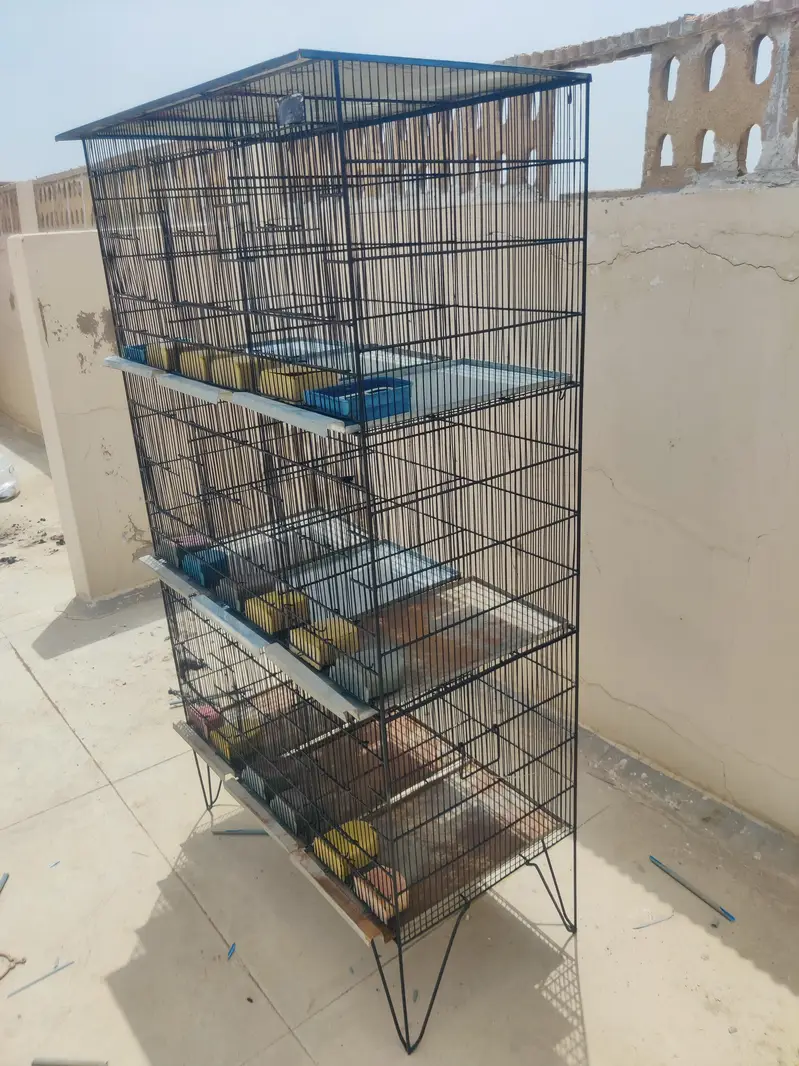 9 Khany Bird Cage | 10/10 Condition | New Plates — photo 4