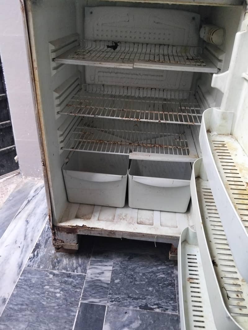 fridge 1
