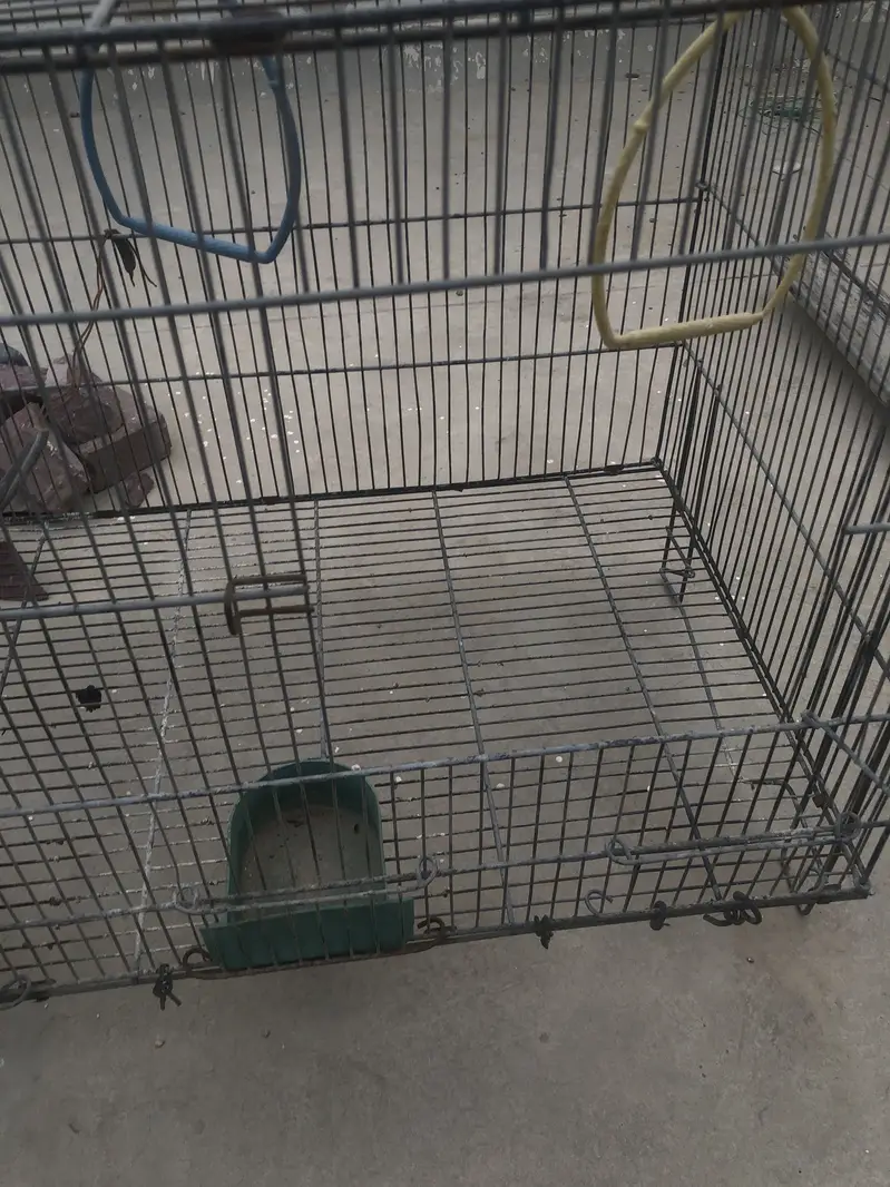 Cage for sale — photo 2