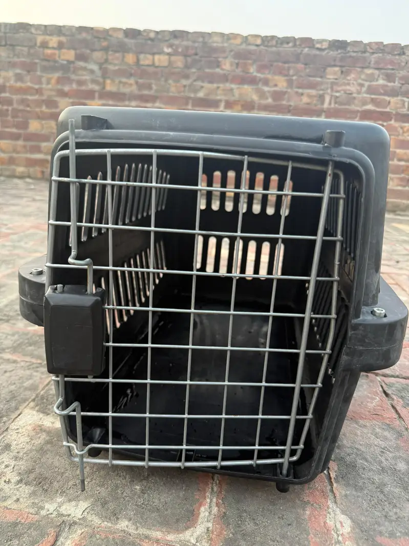 Brand new cat carrier XL — photo 4