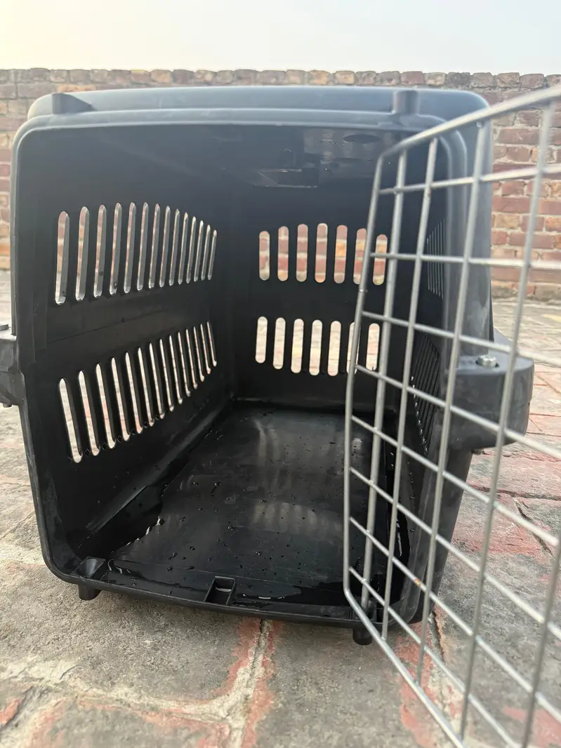Brand new cat carrier XL — photo 5