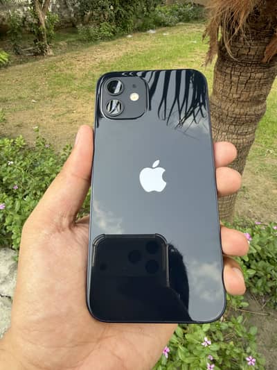 iPhone 12 Factory Unlock