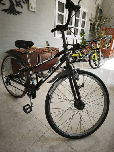 Imported Cyclerama Bicycle