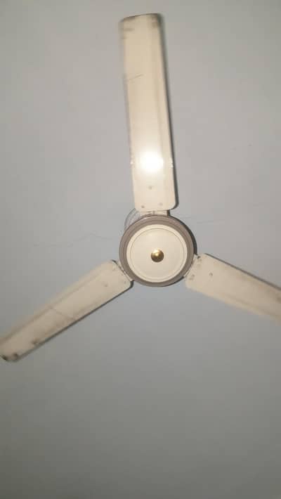 Ceiling fans 3 available hn