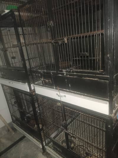 cages in very good condition