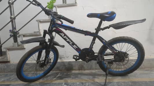 Geared bicycle