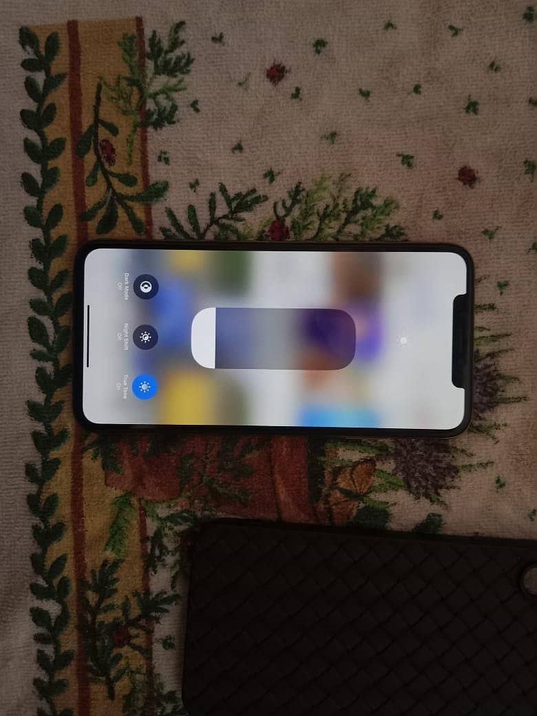Apple iPhone XS Max 1