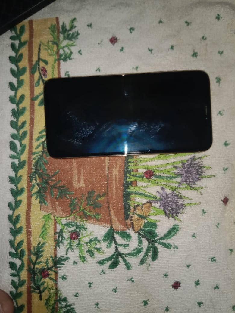 Apple iPhone XS Max 5