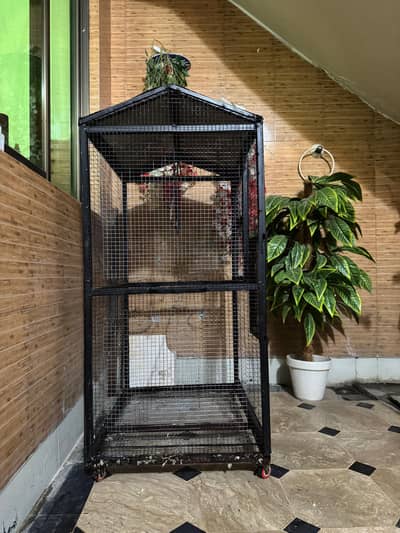 birds cage