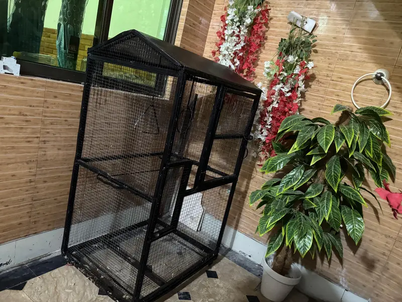 birds cage — photo 2