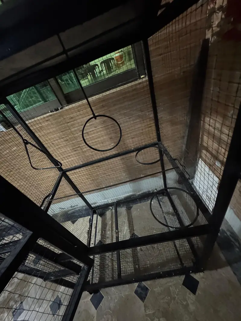 birds cage — photo 3