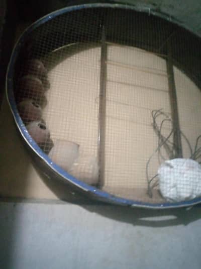 parot cage