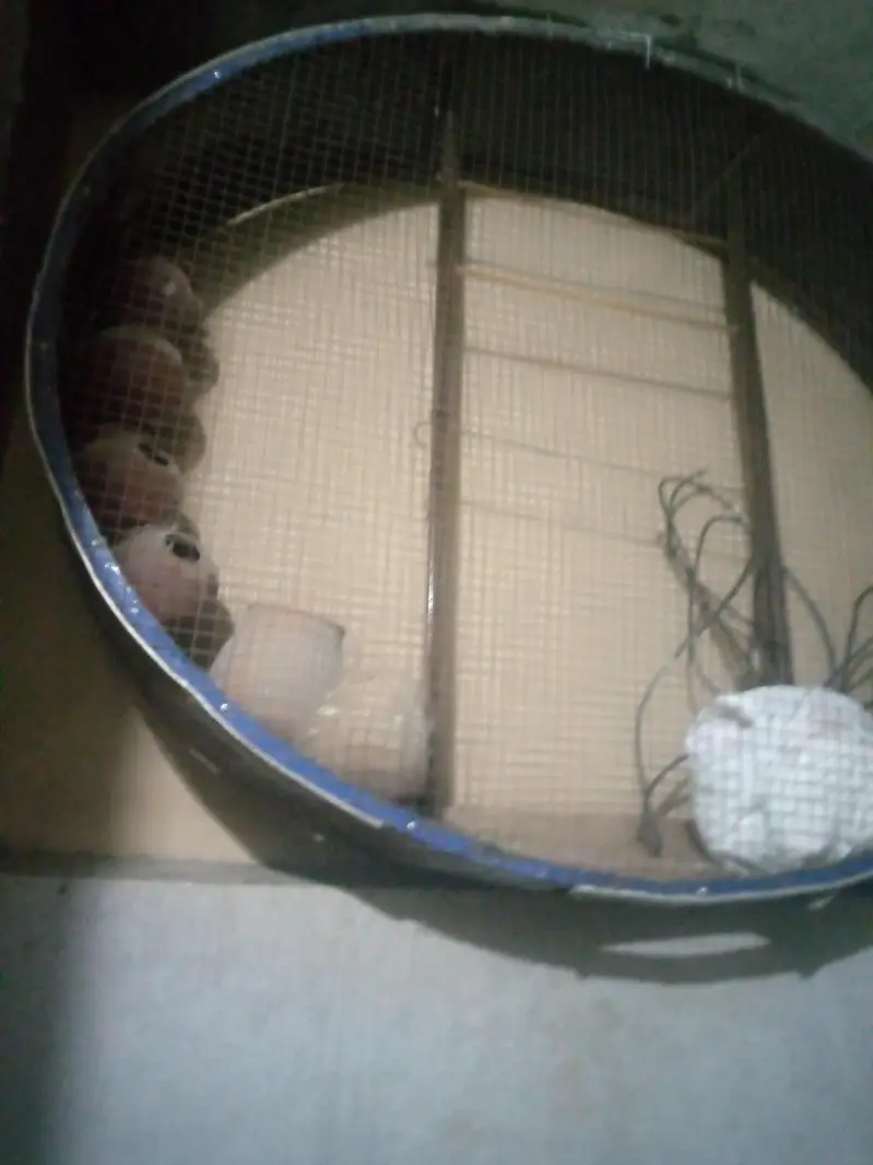 parot cage