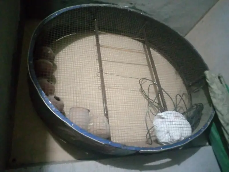 parot cage — photo 2