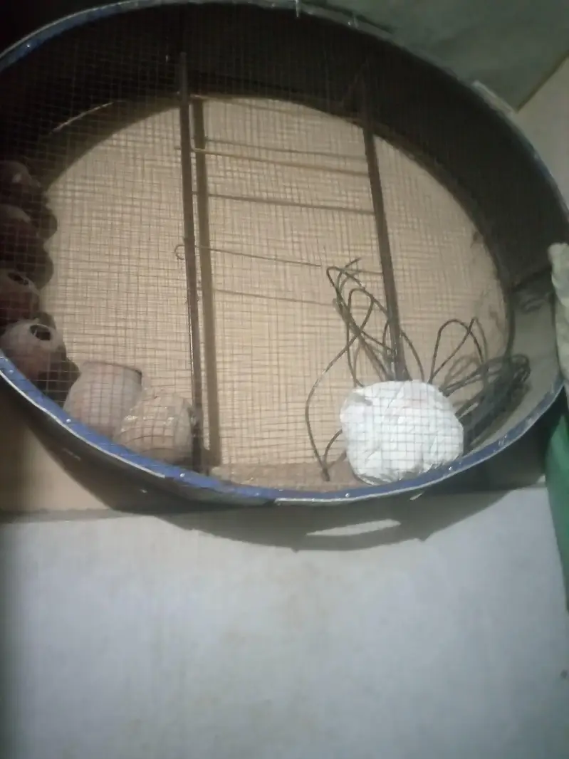 parot cage — photo 3