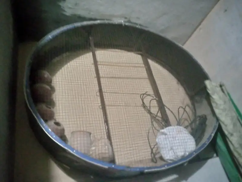 parot cage — photo 4